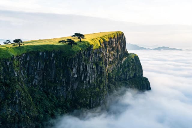 One enormous green mountain escarpment rises above a continuous sea of pale clouds, its vertical rock face occupying most of the composition and creating a single dominant landscape mass. The upper plateau is covered with vivid short grass and a few dark wind-shaped pines, while distant peaks emerge faintly from the cloud layer. Strong morning light touches the edge of the plateau and separates it from the atmospheric depth below. Deep green, dark rock gray, pale cloud white