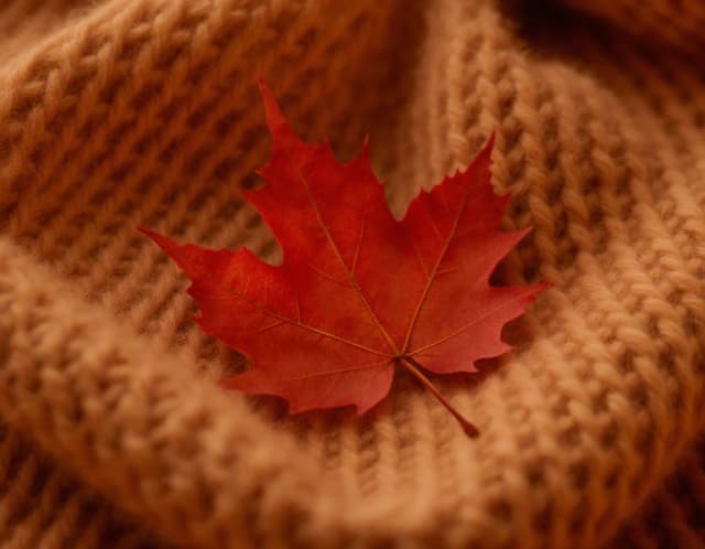 Prompt: Extreme macro photography of a thick, chunky knit merino wool fabric in warm camel color. A single, perfectly preserved, vibrant red autumn leaf is resting gently on the wool. Shallow depth of field, sharp focus on the texture of the wool and the leaf veins. Soft, cinematic lighting, cozy autumn atmosphere, high-end textile photography, 8k resolution.