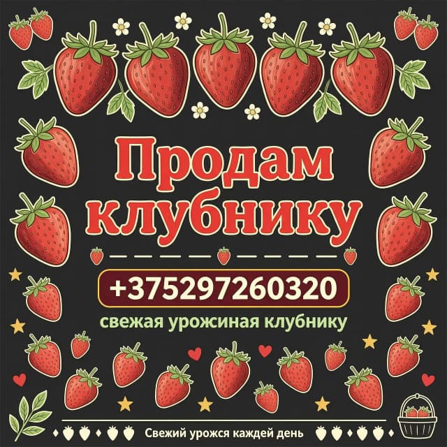 Объявление по продаже клубники, текст "Продам клубнику"
+375297260320, фон черный