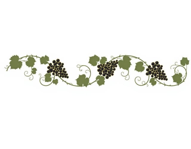 A decorative flat minimal horizontal garland of grapevines, rendered in the style of an elegant graphic ornament against a white background. Slender, sinuous, and gracefully curving stems intertwine to form a rhythmic pattern, featuring an alternating arrangement of lush clusters of green grapes and neat green leaves with characteristic serrated edges.