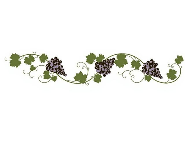 A decorative flat minimal horizontal garland of grapevines, rendered in the style of an elegant graphic ornament against a white background.