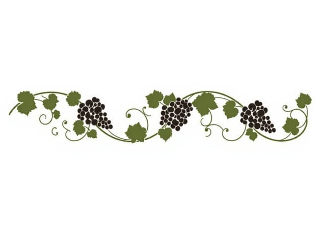 A decorative flat minimal horizontal garland of grapevines, rendered in the style of an elegant graphic ornament against a white background.