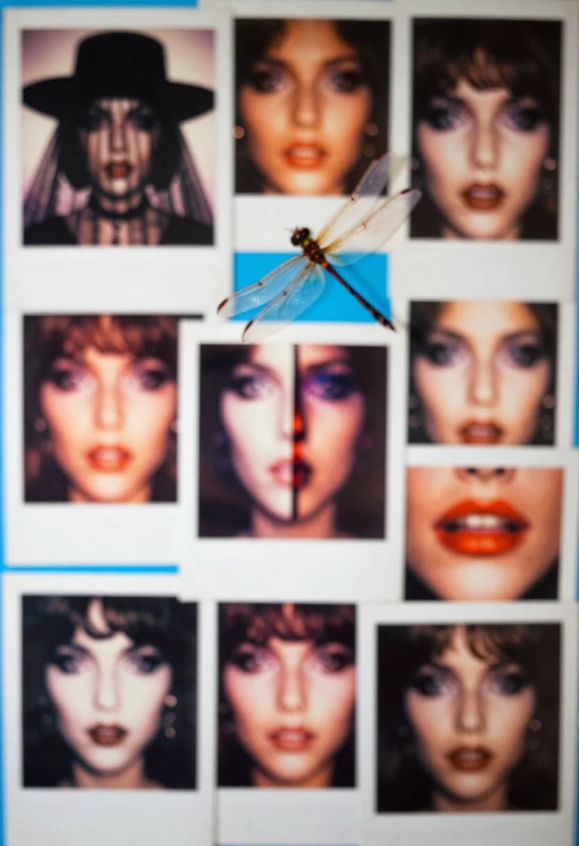 Photo collage,
abstract, chaotic arrangement of elements on a board. Mystical images, eyes, lips. Polaroid. Diagonal. Dragonfly wings. American poster from the 1980s. Blurred, bokeh, blurred. Experiments.
Separate fragments of the photograph: hat with veil, lips (semi-vertical), butterfly wing. Blue accent.
expression
dynamic