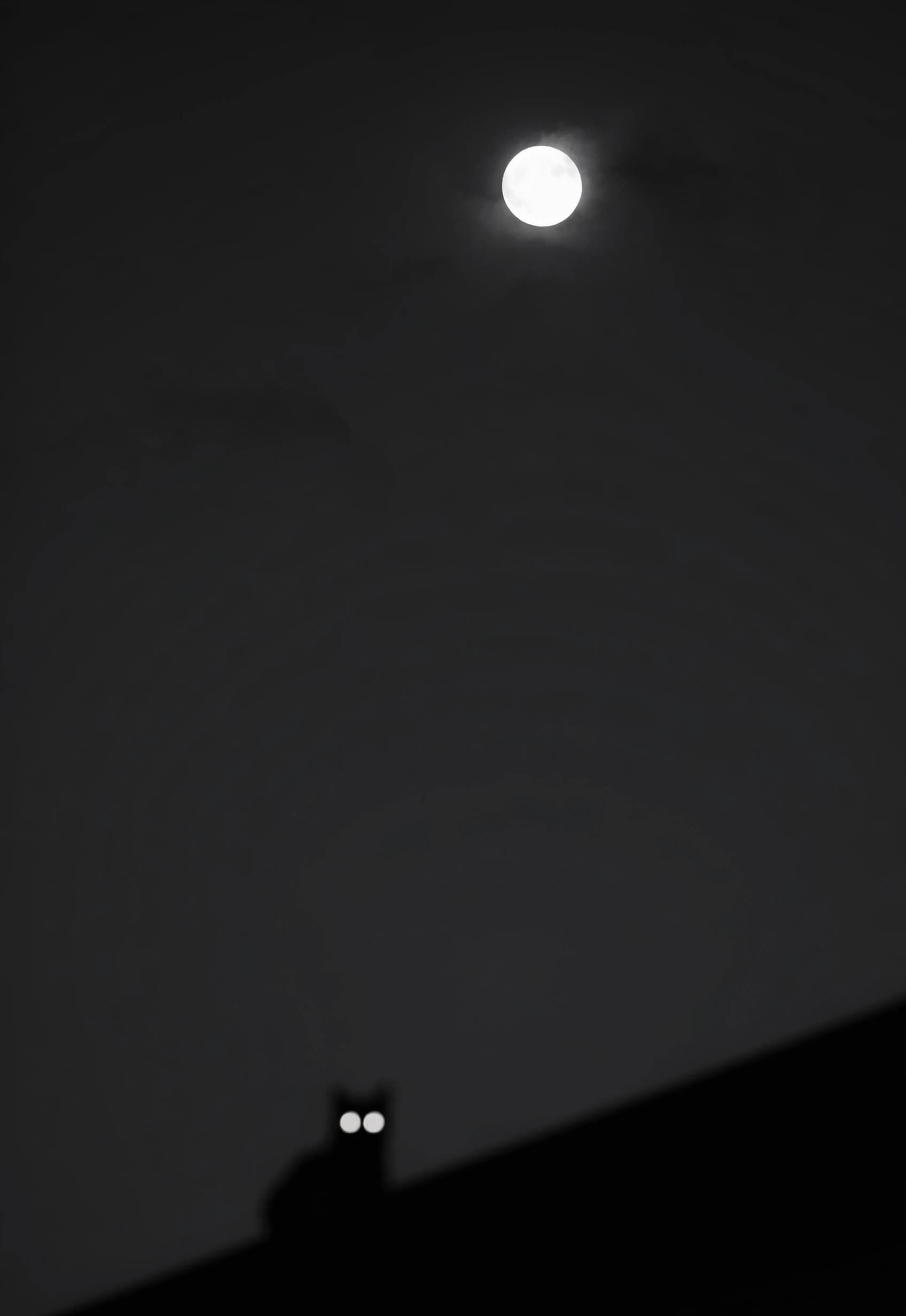A cinematic hyper-realistic black and white minimalist shot dominated by a vast smooth night sky. High in the upper centre a sharp luminous full moon breaks through faint dark wisps of passing cloud. In the bottom foreground the stark pitch-black silhouette of a roofline slants sharply upwards, with the dark shape of a cat slightly out of focus, defined only by two intense glowing white circular eyes.