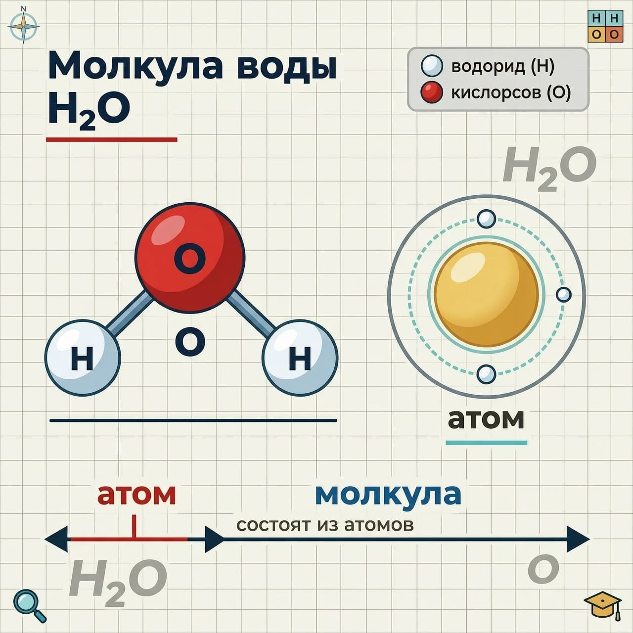 в центре — модель молекулы воды H₂O (два маленьких белых атома водорода и один крупный красный атом кислорода, соединены тонкими стержнями). Рядом — отдельный одиночный атом (стилизованный шар с орбитами электронов). На фоне — сетка, как в тетради, и полупрозрачные формулы H₂O и O. Добавь небольшую шкалу масштаба: рядом с атомом надпись “атом”, рядом с молекулой “молекула”, и стрелку, показывающую, что молекула состоит из атомов. Стиль: чистая образовательная инфографика, яркие, контрастные цвета, легко различимые подписи.